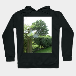 Blue bird box Hoodie